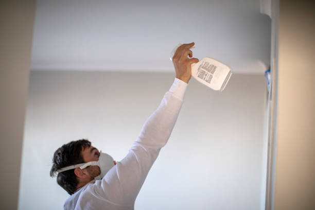 Best Mold Damage Repair  in New Knoxville, OH