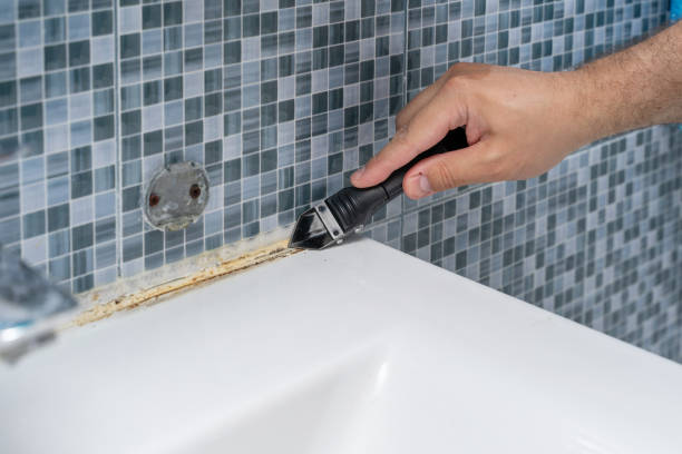 Best Black Mold Removal  in New Knoxville, OH